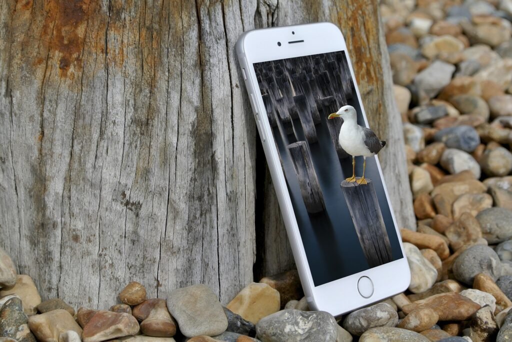 Best Budget Smart Phone